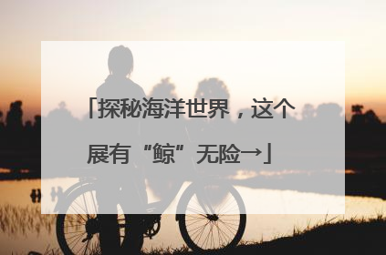 探秘海洋世界，这个展有“鲸”无险→