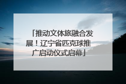 推动文体旅融合发展！辽宁省匹克球推广启动仪式启幕