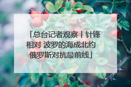 总台记者观察丨针锋相对 波罗的海成北约俄罗斯对抗最前线