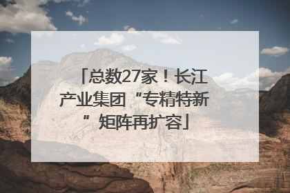总数27家！长江产业集团“专精特新”矩阵再扩容