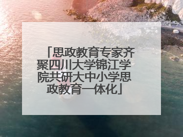 思政教育专家齐聚四川大学锦江学院共研大中小学思政教育一体化