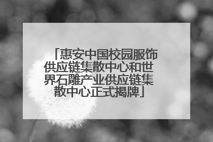 惠安中国校园服饰供应链集散中心和世界石雕产业供应链集散中心正式揭牌