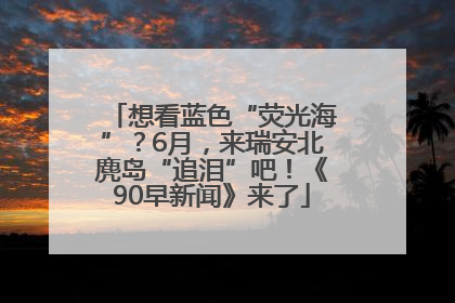 想看蓝色“荧光海”？6月，来瑞安北麂岛“追泪”吧！《90早新闻》来了
