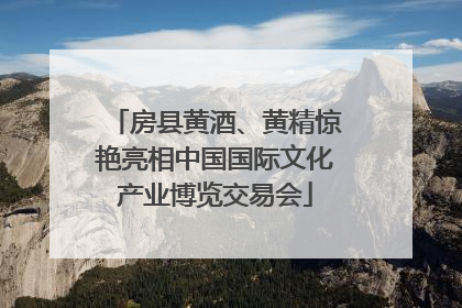 房县黄酒、黄精惊艳亮相中国国际文化产业博览交易会