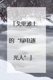 戈壁滩上的“绿电逐光人”