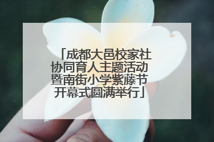 成都大邑校家社协同育人主题活动暨南街小学紫藤节开幕式圆满举行