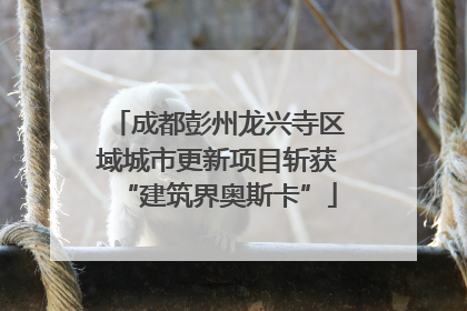 成都彭州龙兴寺区域城市更新项目斩获“建筑界奥斯卡”