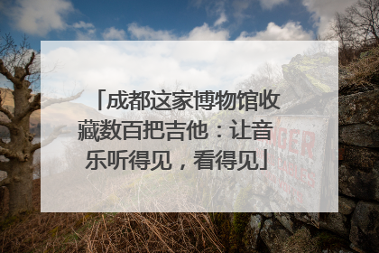 成都这家博物馆收藏数百把吉他：让音乐听得见，看得见