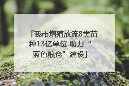 我市增殖放流8类苗种13亿单位 助力“蓝色粮仓”建设