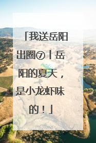 我送岳阳出圈⑦丨岳阳的夏天，是小龙虾味的！
