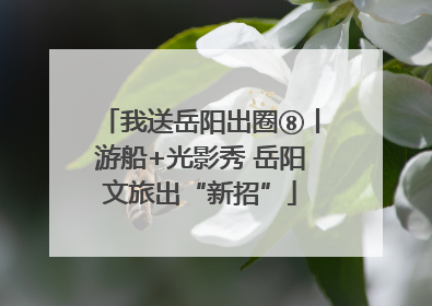 我送岳阳出圈⑧丨游船+光影秀 岳阳文旅出“新招”