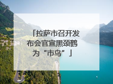 拉萨市召开发布会官宣黑颈鹤为“市鸟”
