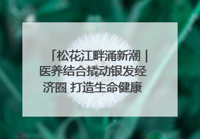 松花江畔涌新潮｜医养结合撬动银发经济圈 打造生命健康产业新样本