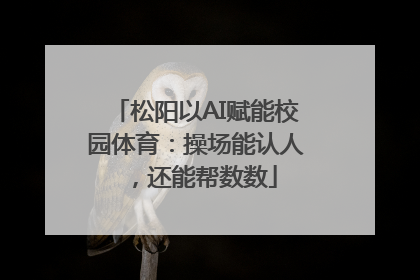 松阳以AI赋能校园体育：操场能认人，还能帮数数
