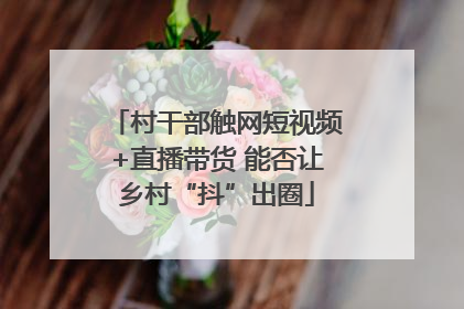 村干部触网短视频+直播带货 能否让乡村“抖”出圈