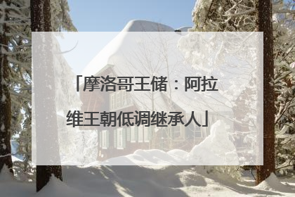 摩洛哥王储：阿拉维王朝低调继承人