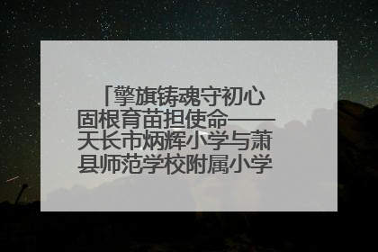 擎旗铸魂守初心 固根育苗担使命——天长市炳辉小学与萧县师范学校附属小学结对共建活动纪实
