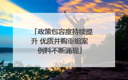 政策包容度持续提升 优质并购重组案例料不断涌现