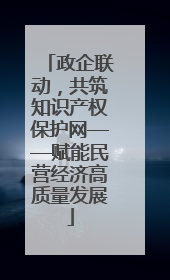 政企联动，共筑知识产权保护网——赋能民营经济高质量发展