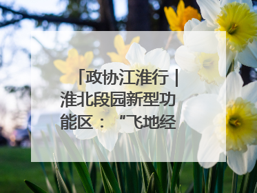 政协江淮行｜淮北段园新型功能区：“飞地经济”拔节生长