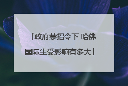 政府禁招令下 哈佛国际生受影响有多大