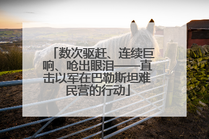 数次驱赶、连续巨响、呛出眼泪——直击以军在巴勒斯坦难民营的行动