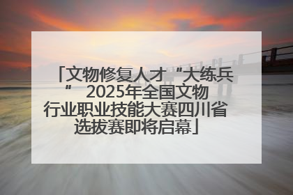 文物修复人才“大练兵” 2025年全国文物行业职业技能大赛四川省选拔赛即将启幕