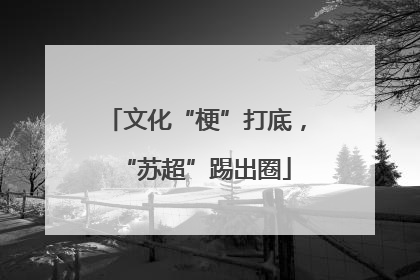 文化“梗”打底，“苏超”踢出圈