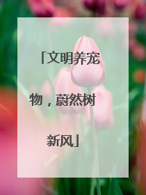 文明养宠物,蔚然树新风