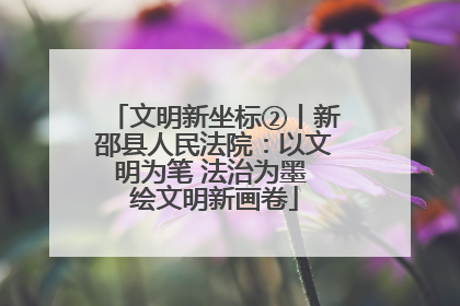 文明新坐标②丨新邵县人民法院：以文明为笔 法治为墨 绘文明新画卷