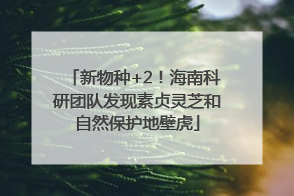 新物种+2！海南科研团队发现素贞灵芝和自然保护地壁虎