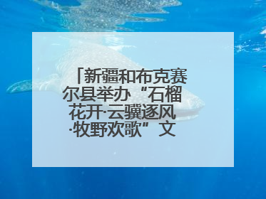 新疆和布克赛尔县举办“石榴花开·云骥逐风·牧野欢歌”文化演出季活动