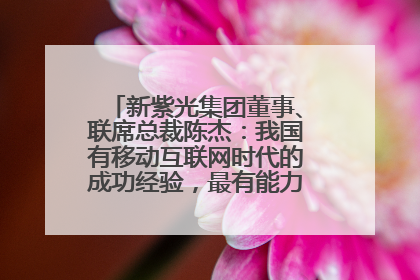 新紫光集团董事、联席总裁陈杰：我国有移动互联网时代的成功经验，最有能力做好AI应用创新
