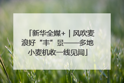 新华全媒+｜风吹麦浪好“丰”景——多地小麦机收一线见闻