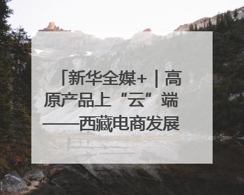 新华全媒+｜高原产品上“云”端——西藏电商发展一线观察
