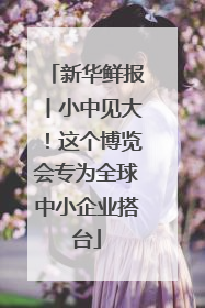 新华鲜报丨小中见大！这个博览会专为全球中小企业搭台