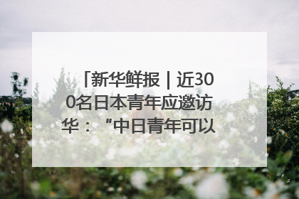 新华鲜报｜近300名日本青年应邀访华：“中日青年可以创造更好的未来”