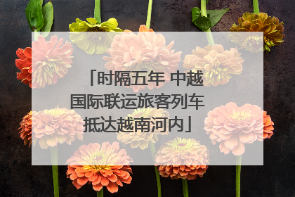 时隔五年 中越国际联运旅客列车抵达越南河内