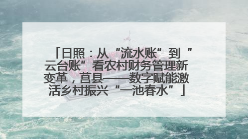 日照：从“流水账”到“云台账”看农村财务管理新变革，莒县——数字赋能激活乡村振兴“一池春水”