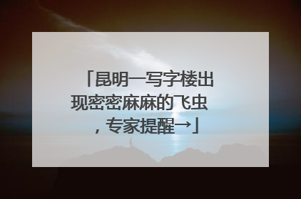 昆明一写字楼出现密密麻麻的飞虫，专家提醒→