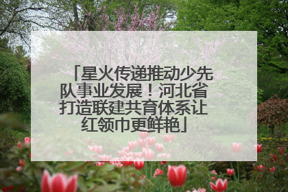 星火传递推动少先队事业发展！河北省打造联建共育体系让红领巾更鲜艳