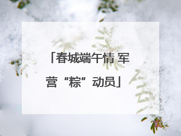 春城端午情 军营“粽”动员