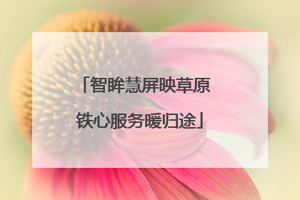 智眸慧屏映草原 铁心服务暖归途
