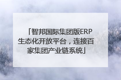 智邦国际集团版ERP生态化开放平台，连接百家集团产业链系统