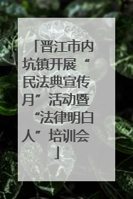 晋江市内坑镇开展“民法典宣传月”活动暨“法律明白人”培训会