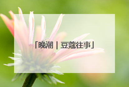 晚潮｜豆蔻往事
