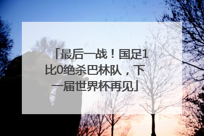 最后一战！国足1比0绝杀巴林队，下一届世界杯再见