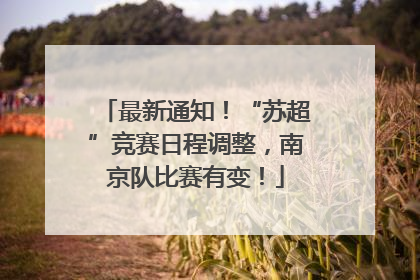 最新通知！“苏超”竞赛日程调整，南京队比赛有变！