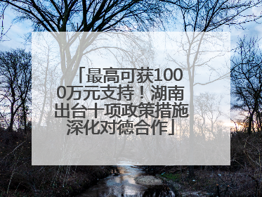 最高可获1000万元支持！湖南出台十项政策措施深化对德合作