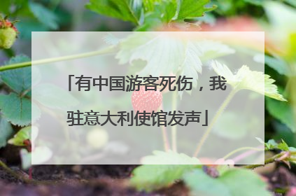 有中国游客死伤，我驻意大利使馆发声